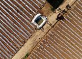 China's agriculture upgrade to accelerate in next decade: report