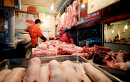 China's hog production grows steadily in March