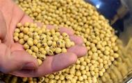 Shanghai port reports growth in soybean imports 