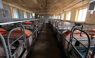 China pledges financial support for pork production