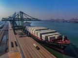 Economic Watch: China faces up to trade challenges amid pandemic