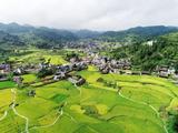 China's central SOEs to help poor regions with farm product sales