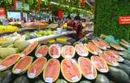 China's agricultural product wholesale prices drop