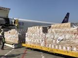 China, WHO launches charity fundraising program to fight COVID-19
