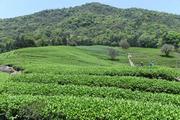 China's farm produce trade deficit expands in Q1