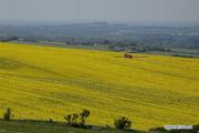 Across China: "Gig farming" facilitates efficient use of farmland