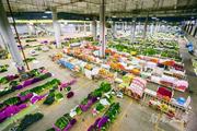 Auctioned transaction at Kunming flower market down 15.5 pct
