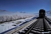 Main structure completed in Nyingchi station of Lhasa-Nyingchi railway 