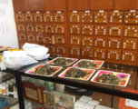 China further promotes TCM development by strengthening scientific research