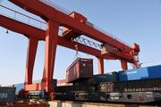 China's rail freight transport up 3.6 pct in H1