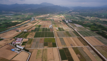 China's fixed-asset investment down 3.1 pct in H1