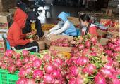 China-ASEAN trade grows robustly despite COVID-19 pandemic 