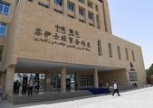 Spotlight: China-Arab economic ties resilient despite challenges of COVID-19