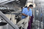 China's textile companies see lower revenues in H1