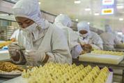 China's food industry stable in H1