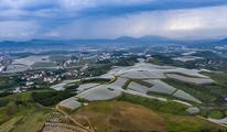 China's agricultural product wholesale prices edge up