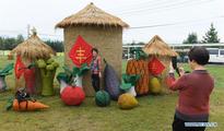 China Focus: Chinese festival marks nation's hard-won bumper harvest