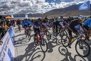 China's bicycle industry reports surging profits