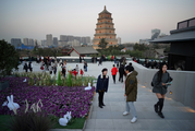 China's Shaanxi sees GDP rise 1.2 pct