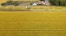Grain trade conference helps boost orders in China