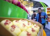 China-Vietnam border port opens to imports of fresh fruits 