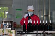 China Focus: China's major winemaking region dreams big