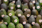 Chile to tap further into Chinese demand for avocados amid rising popularity