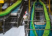 China's beverage manufacturing industry reports revenue decline
