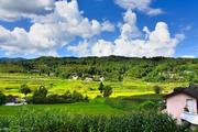 Sri Lankan expert commends China for removing all remaining counties from poverty list