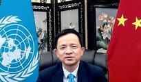 China ready to help bring long-term peace to Sahel region: envoy