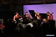 Artists blend Chinese, Western traditional music in concert in New Zealand