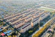 China's housing market cools in November: report