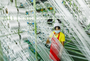 China's PPI down 1.5 pct in November