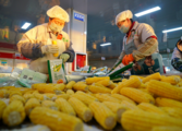 Interview: Renowned economist says China's poverty alleviation provides lessons for developing countries 
