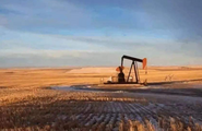Massive Xinjiang oil field sees annual production over 2 mln tonnes