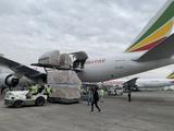 China-Africa friendship emerges still stronger from COVID-19 test, says Chinese FM