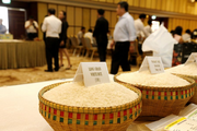 Cambodia's milled rice export to China up 16.6 pct last year: agriculture minister