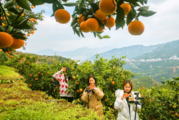Digital economy thrives in China's western regions: report