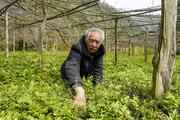 China to push forward TCM development