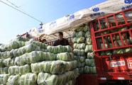 China's agricultural product wholesale prices edge up