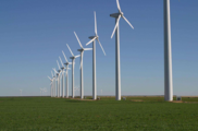 China's Zhejiang sees clean energy development boom
