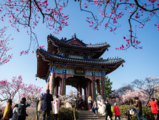 Economic Watch: New spending trends thrive amid China's "staying put" holiday