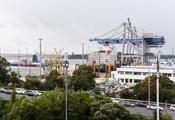 World Insights: FTA upgrade with China applauded in New Zealand