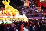 China to see increased domestic tourism in 2021: report