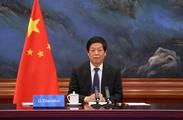 China's top legislator holds talks with Hungarian counterpart via video link