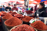 Across China: Chili industry spices up people's lives in north China