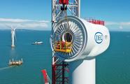 China dominates global wind power industry in 2020: UK media