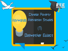 Bellwether Effect | Keywords in Chinese Poverty Alleviation Studies