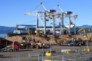 New Zealand exports, imports down despite rebound in trade with China