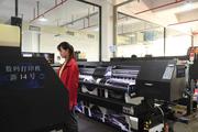 China's printer shipments hit record high in Q4 2020: report